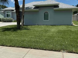 Lindsay F.'s grass cutting service result