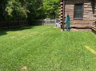 Marie F.'s lawn care services service result