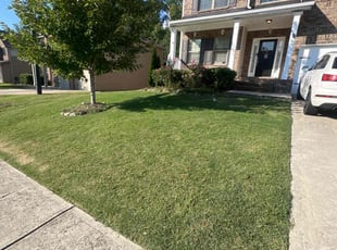 Michelle B.'s turf maintenance service result