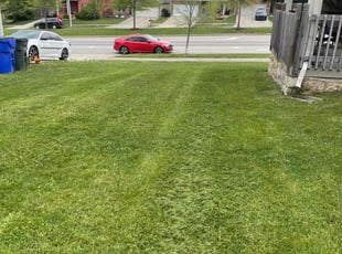 RAVON G.'s lawn service service result