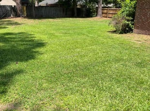 Rori L.'s lawn maintenance service result