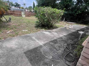 Ricardo L.'s Bush Trimming service result