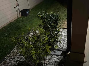 Sarah W.'s Bush Trimming service result