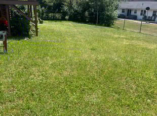 James F.'s lawn maintenance service result
