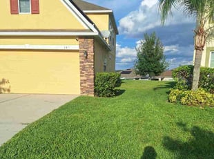 Brittany S.'s turf care service result