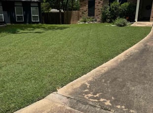 Megan S.'s grass maintenance service result