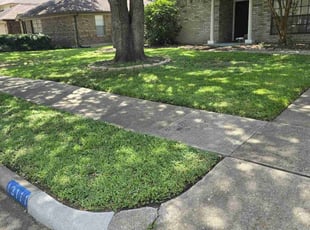 Debra D.'s grass maintenance service result