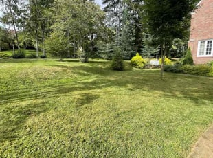Gene W.'s grass cutting service result