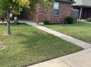 Sherry D.'s lawn maintenance service result