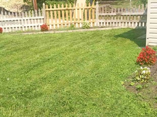 Lela G.'s grass cutting service result