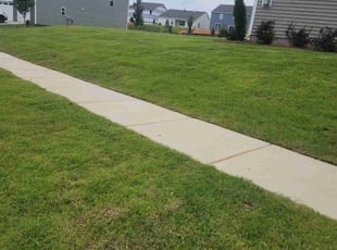 Bridget E.'s turf care service result