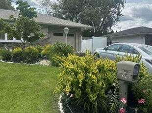 Andrew S.'s turf maintenance service result