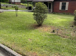 Angela P.'s Bush Trimming service result