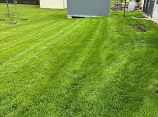 Michelle M.'s lawn care services service result