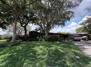 Nancy O.'s lawn service service result