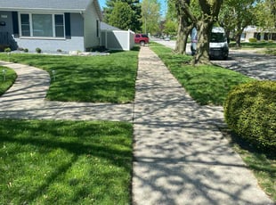 Claudia H.'s lawn care service result