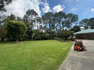 Connie R.'s lawn care service result