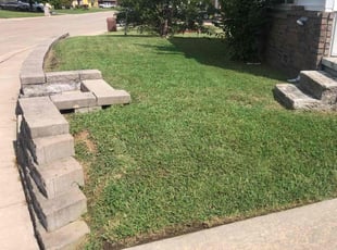 Rachael T.'s grass maintenance service result