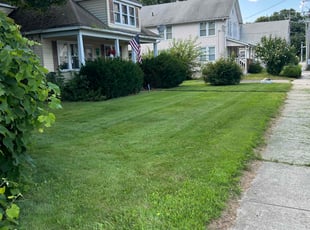 Rebecca D.'s turf maintenance service result
