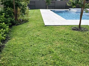 Jason V.'s lawn care services service result