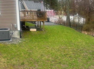 tiffani S.'s grass cutting service result