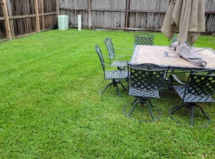 Hector C.'s lawn care services service result