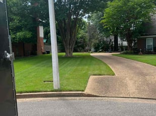 April B.'s turf care service result