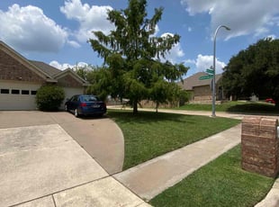 Zeb P.'s turf maintenance service result