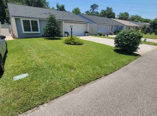 Candance S.'s yard work service result
