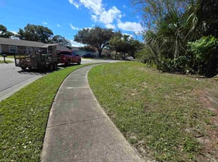 Marina R.'s turf maintenance service result