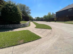 Daniel V.'s lawn care services service result