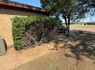 Tarashi C.'s Bush Trimming service result