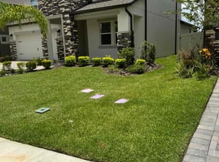 Fran S.'s grass cutting service result