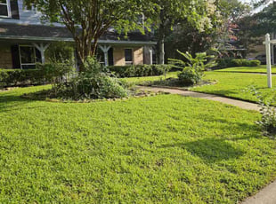 Serita P.'s grass maintenance service result