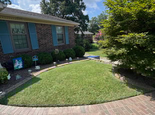 Patricia B.'s grass cutting service result