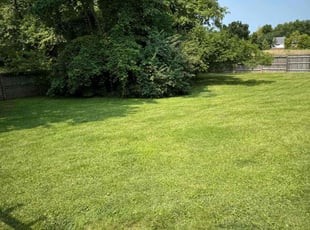 Wendy C.'s lawn maintenance service result