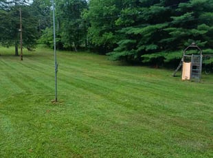 Nina T.'s turf maintenance service result