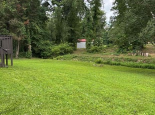 Pamela R.'s turf care service result