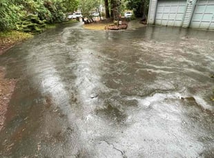 Johnna M.'s Leaf Removal service result