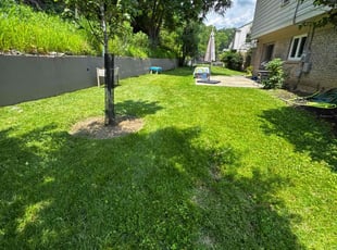 Polly R.'s turf maintenance service result