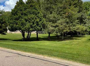 Beth H.'s lawn maintenance service result