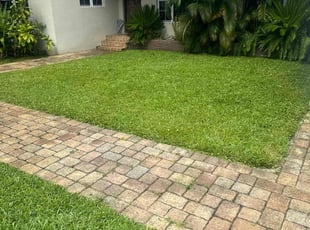 Catrese A.'s turf care service result