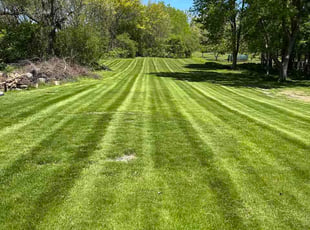 Dave D.'s lawn maintenance service result