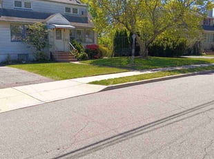 Cynthia S.'s lawn care service result