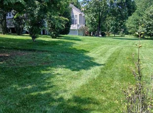 Gladys G.'s lawn maintenance service result