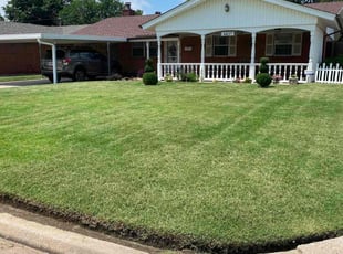 Stacey P.'s lawn care service result