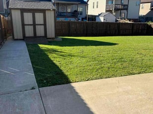 Kim G.'s lawn care service result
