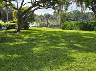 John D.'s grass cutting service result