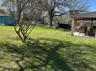Mary G.'s lawn service service result