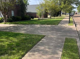 Matthew W.'s landscaping services service result